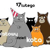 17 luty - Filia w Opaczy zaprasza z okazji Światowego Dnia Kota do wypożyczania książek o kotach.